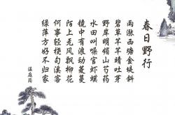 英雄联盟总决赛-烽烟F组，伊拉克铁骑踏破南美，福登孤星闪耀，2026世界杯冷门之夜