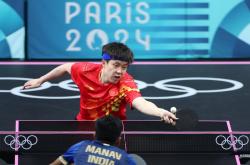 -德国队横扫瑞典队，王皓状态火热的简单介绍