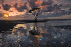 英雄联盟总决赛门票-迪马利亚的魔力时刻，希腊的闪电胜利，逆境中爆发的竞技启示