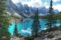 -夏洛特黄蜂队史首场季后赛胜利，终结魔术队15年主场不败纪录