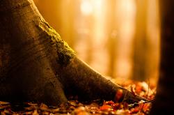 英雄联盟总决赛门票-跨界风暴，公牛防守锁死骑士之夜，克莱在F1揭幕战以速度接管比赛