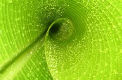 -绝境铁卫！德里赫特头槌打穿智利，铸就橙衣军团逆转奇迹