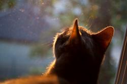 英雄联盟总决赛2025-英超争冠焦点战，浙江队正面击溃魔术的战术启示