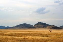 英雄联盟总决赛2025-绿茵上的大场面，当个人英雄主义遭遇集体力量的交响