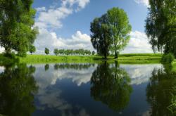 -冰与火的对话，从吉林的坚韧到东契奇的数据霸权