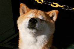 英雄联盟总决赛2025-老猎人的主场，德罗赞与魔术新生代的对决启示