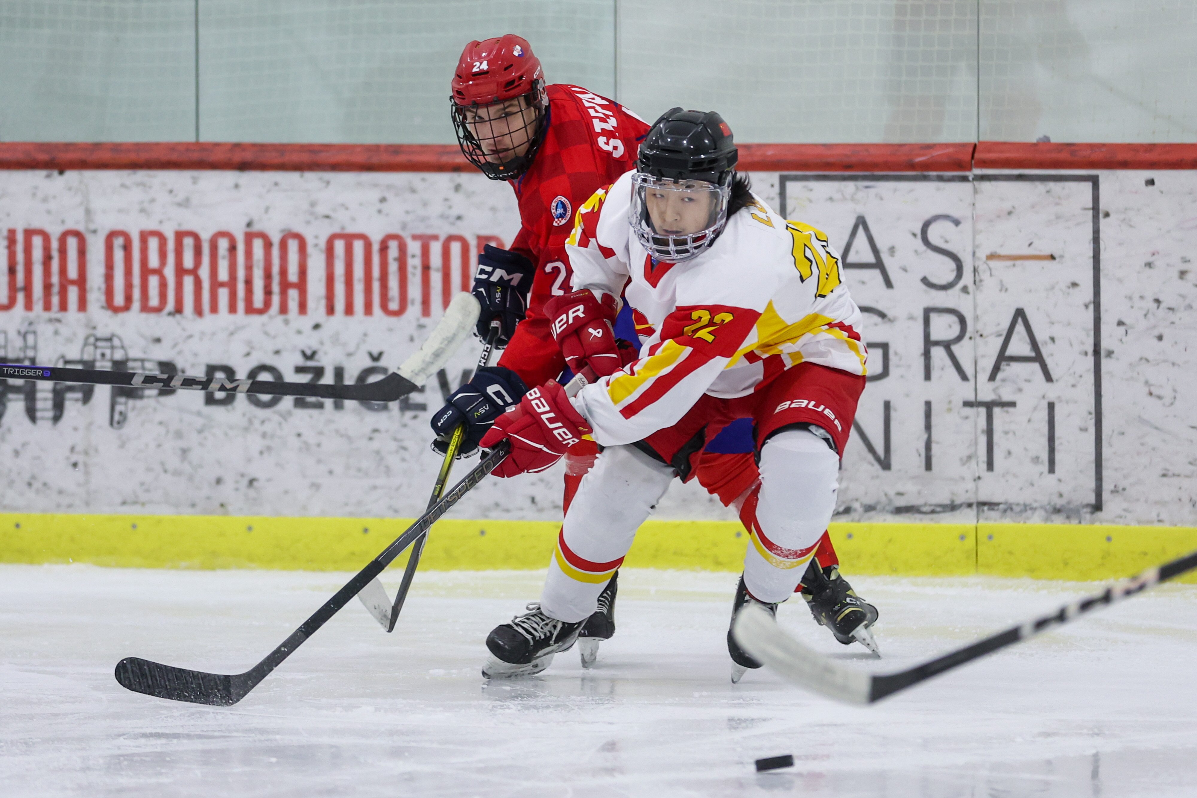 冰球选手发挥出色，荣膺最佳MVP的简单介绍