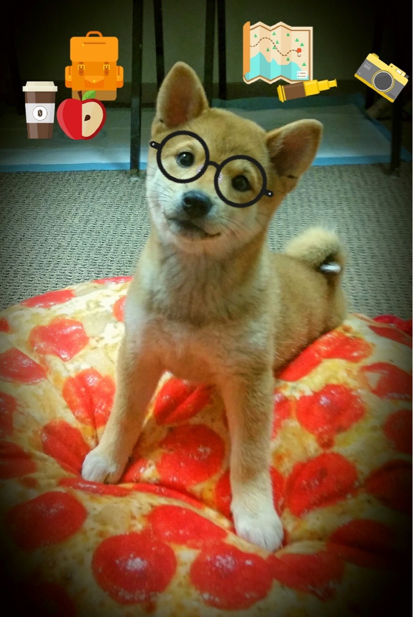 唯一！加时决胜时刻，詹姆斯让太阳熄灭在新疆主场