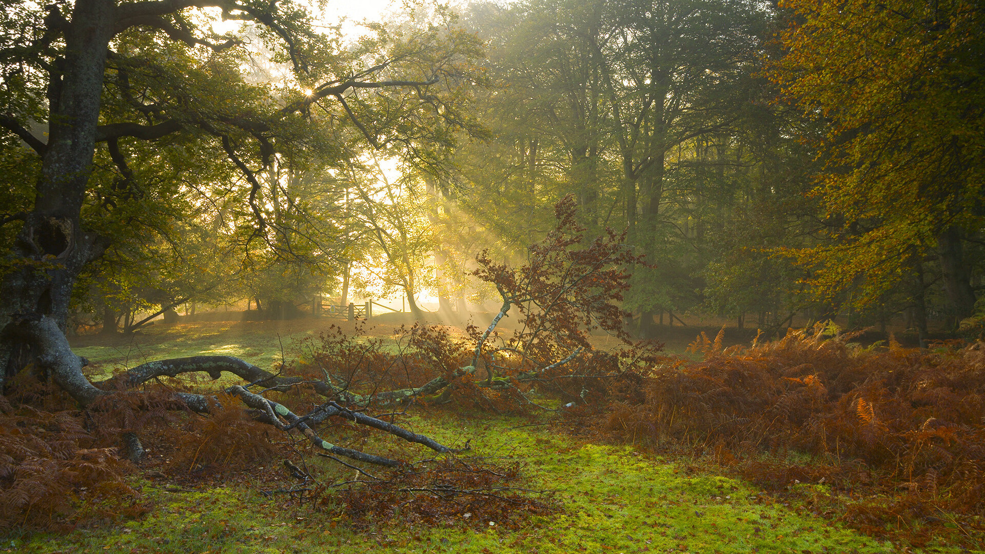 梦幻联动,当山西队遇见开拓者,杜兰特的无差别杀伤艺术