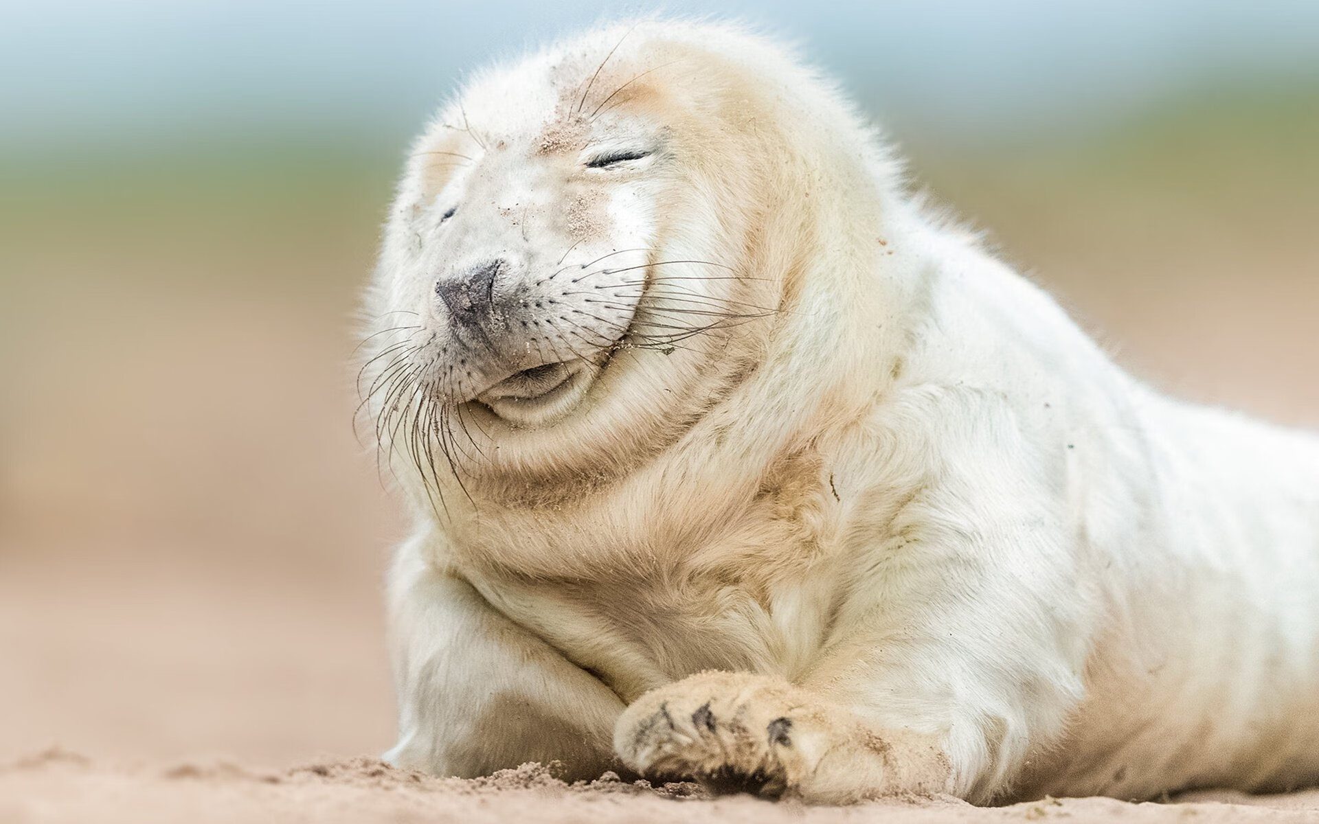 雅典火种与阿特拉斯之肩，戈麦斯在烈焰焚城的西决夜