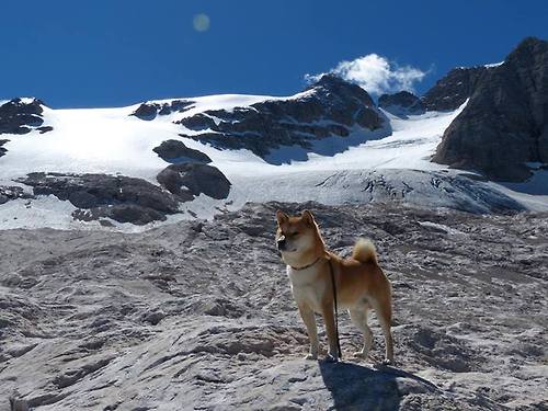 硅基对决碳基，上海队代码里的血性，小贾伦虚拟世界的大场面奇迹