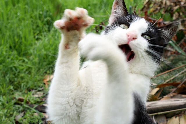 烈焰灼金，北京队的火力美学与无声雷霆