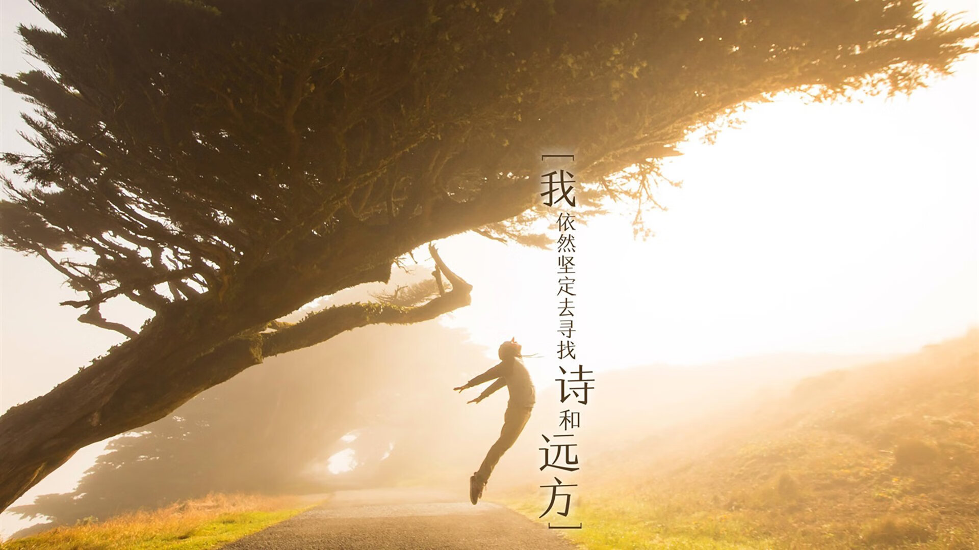 牙买加雷鬼节奏压制拜仁铁血，拉什福德演绎现代前锋攻防统治力