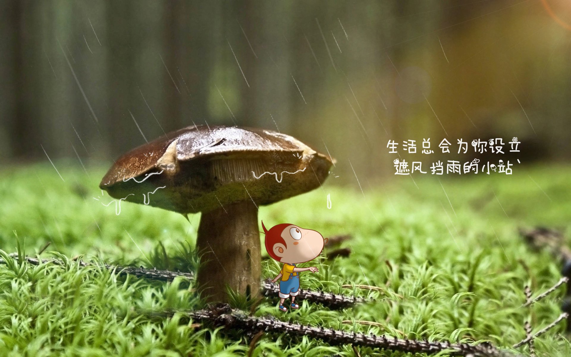 唯一之局,2026世界杯C组暗流,穆西亚拉如何撕裂沙特与哥伦比亚的天平